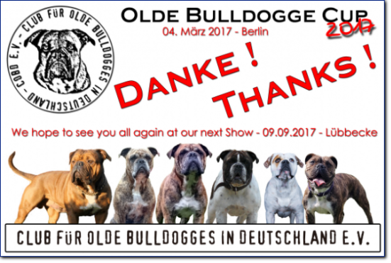 Danke -COBD Olde Bulldogge Cup 2017