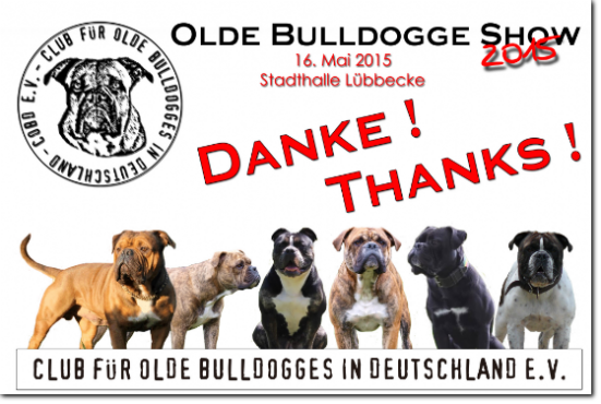 Danke -  COBD Olde Bulldogge Show 2015