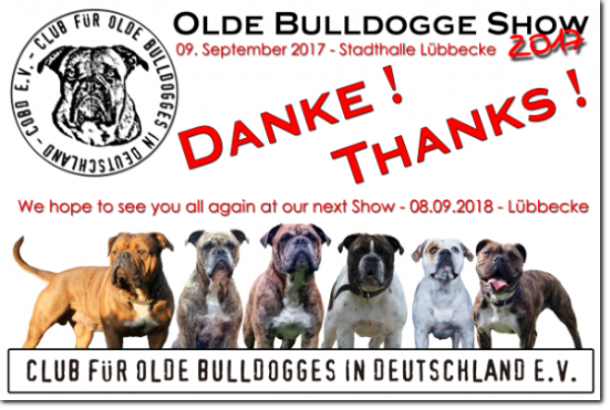 COBD Olde Bulldogge Show 2017 - Danke